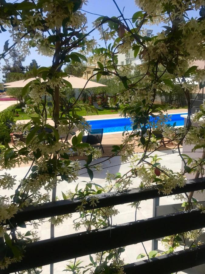 Villa Petar'S Dream 2 Privlaka  Zewnętrze zdjęcie